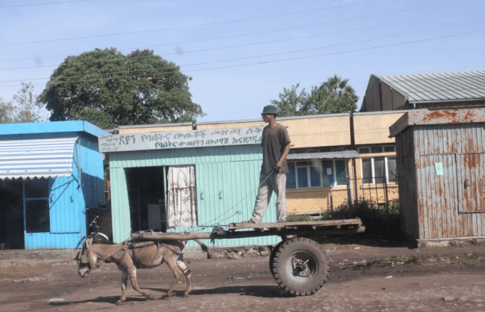 donkey_cart_ethiopia_culture