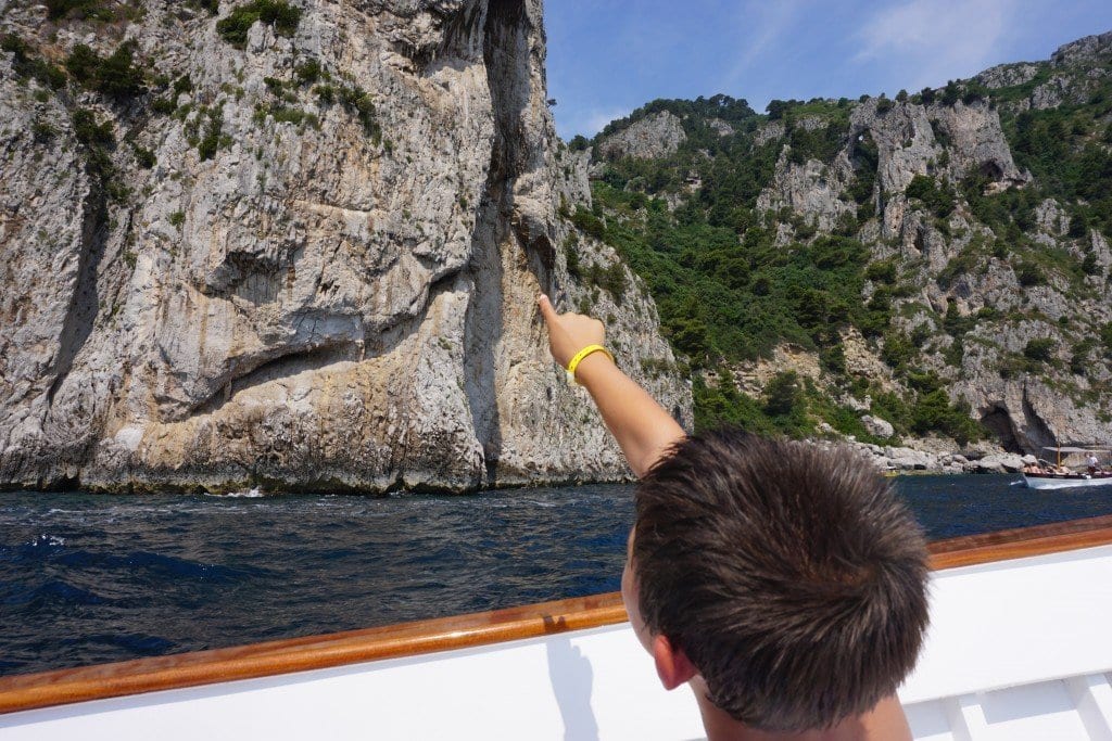 scenes on capri whales boat tour