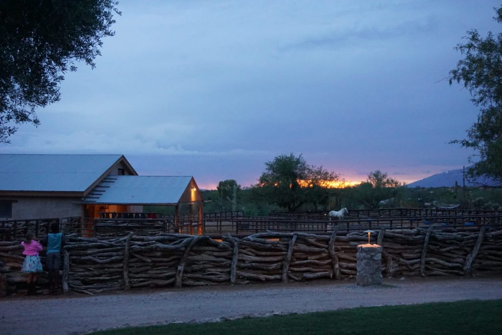 tanque verde ranch - sunset