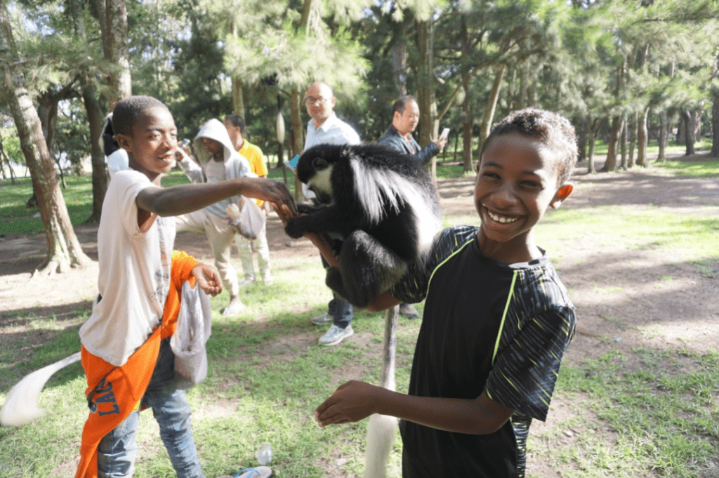 awassa_lakeawassa_monkey_ethiopia