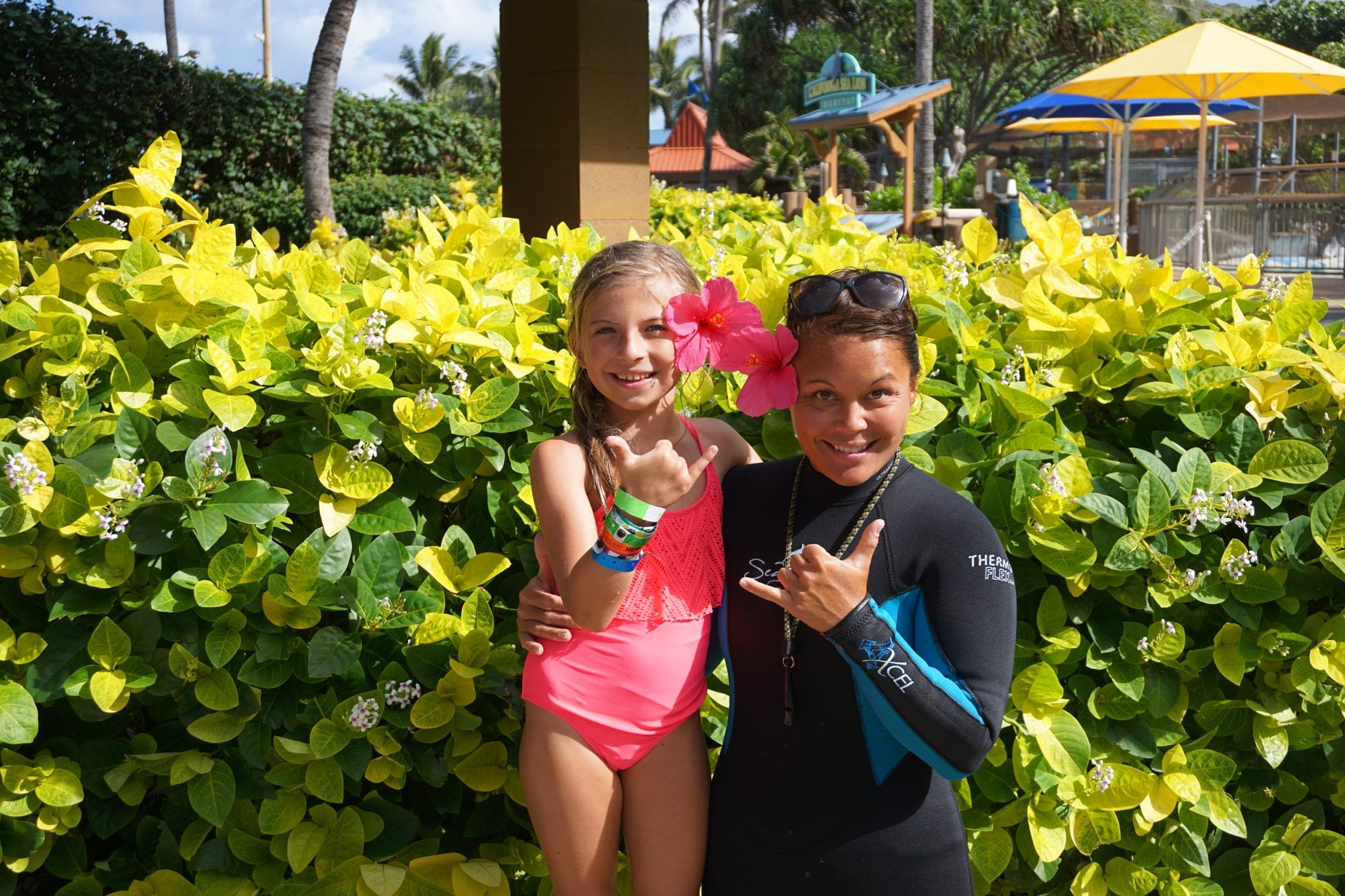 Top Things To Do in Oahu. Include Sea Life Park Hawaii. Check out more on GlobalMunchkins.com