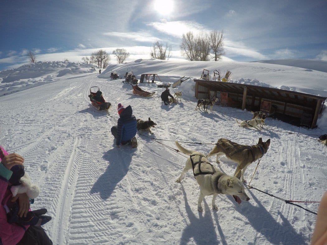 Guide to Steamboat Springs Ski Resort [CO] Global Munchkins