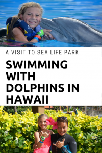 Did you know you could swim with dolphins in Hawaii? See why we loved visiting Sea Life Park in Oahu.