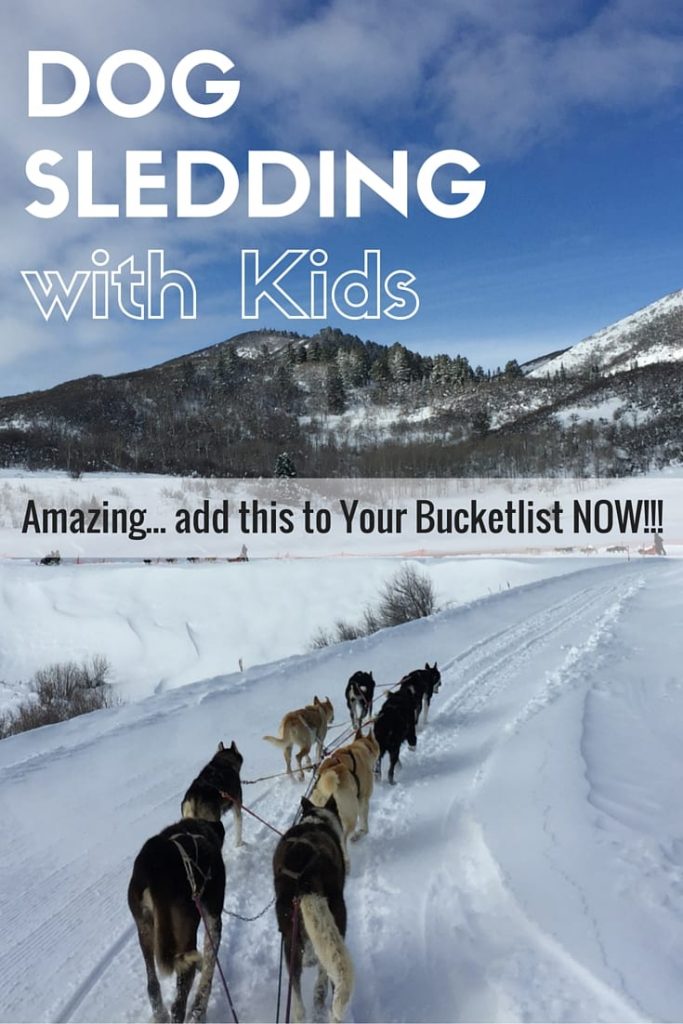 Dog Sledding with kids is a once in a lifetime experience. Check out one of the greatest experiences of our life.