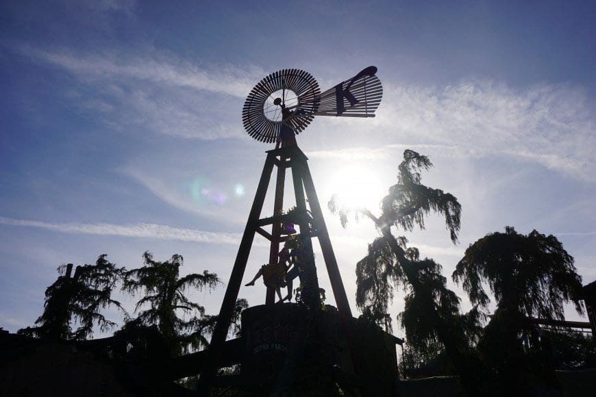 5 Delicious Reasons to Visit Knott�s Berry Farm�s