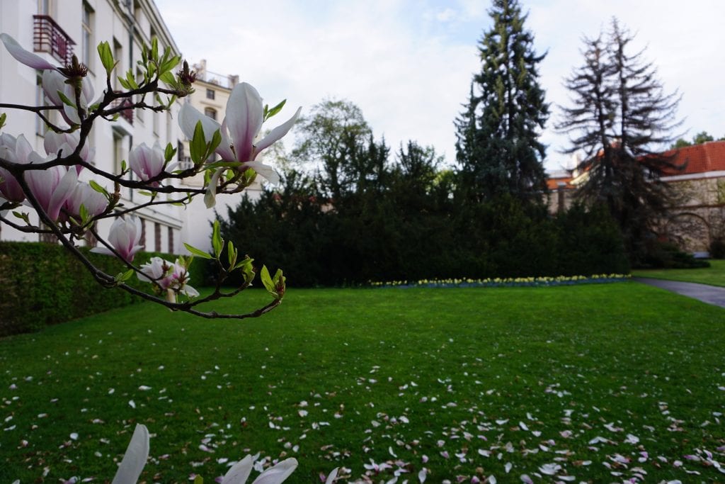 Garden_in_Prague