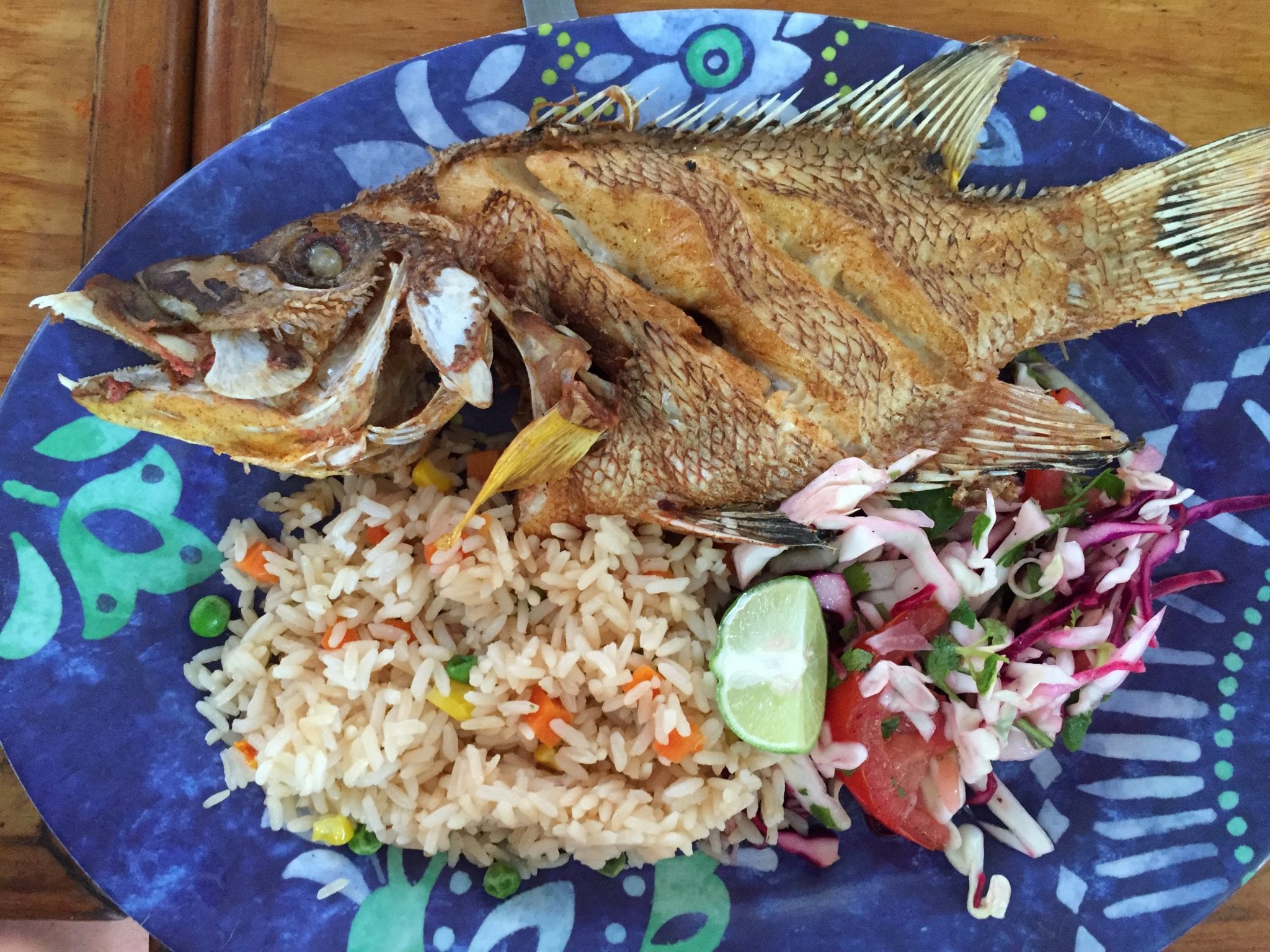 tasty fish dish in Cozumel as part of the Cozumel Chef food tour