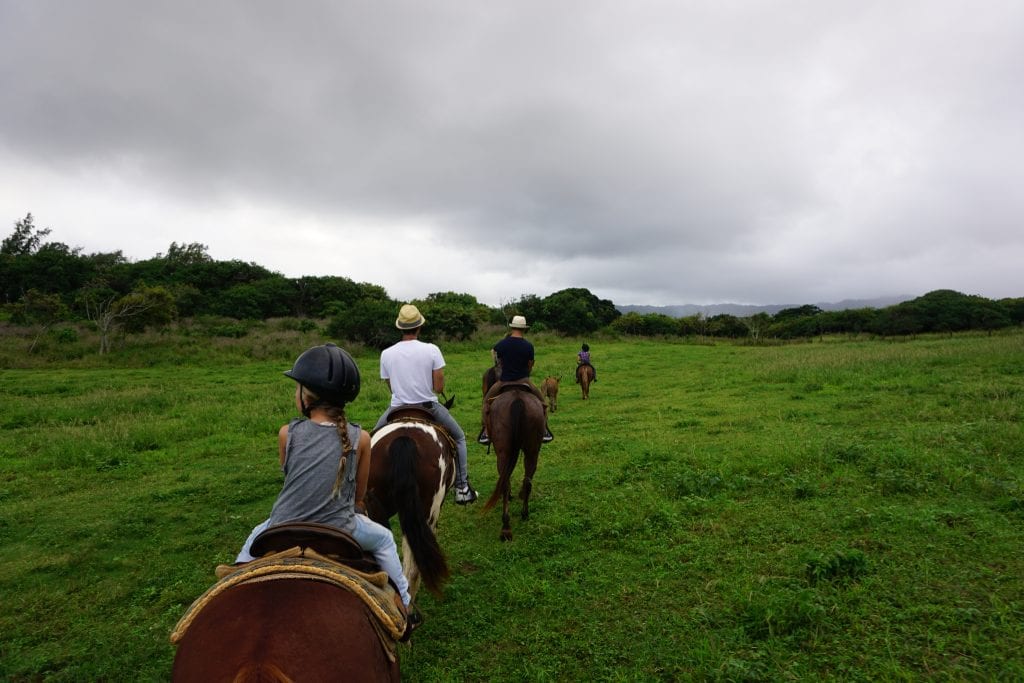 Gunstock Ranch Horseback Ride in Oahu