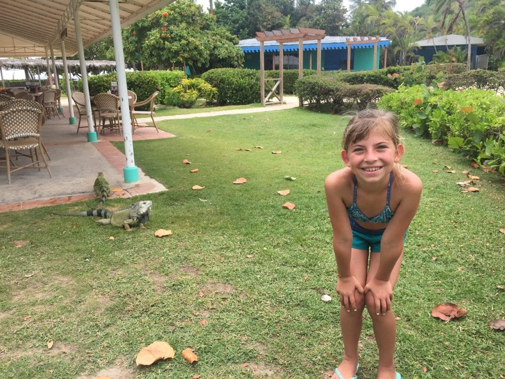 Iguanas at Iguana Cafe on Palomino Island