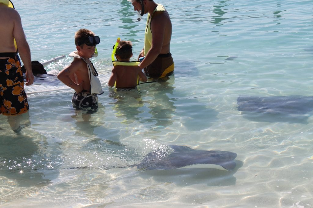 Ray experience on Castaway Cay | Global Munchkins