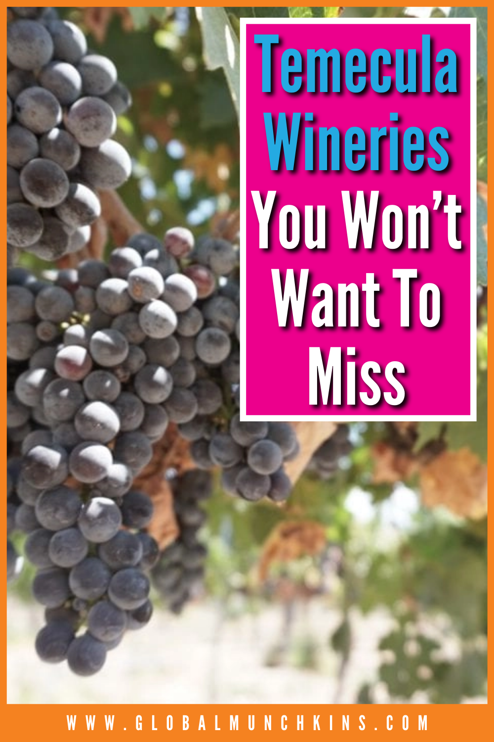 Temecula Wineries You Wont Want To Miss Global Munchkins