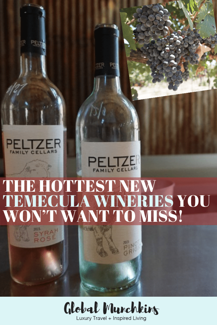 Here are the hottest new Temecula wineries you won't want to miss! #wineries #review #foodie #travel #experience #travelexperience #wine