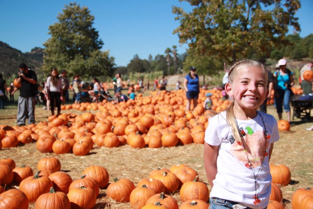 Fall Festivals and Halloween Activities in Temecula | Global Munchkins