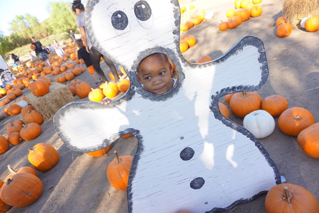 The Ultimate Guide to Halloween Activities in Temecula 2016 | Global Munchkins