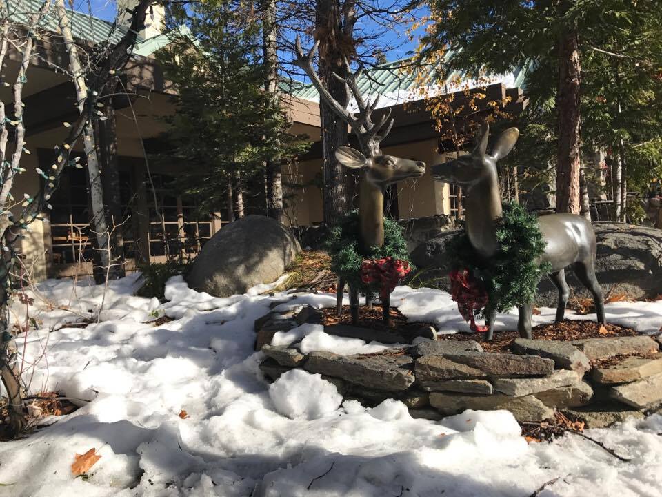 Tenaya Lodge , one of Yosemite's Resorts, during winter