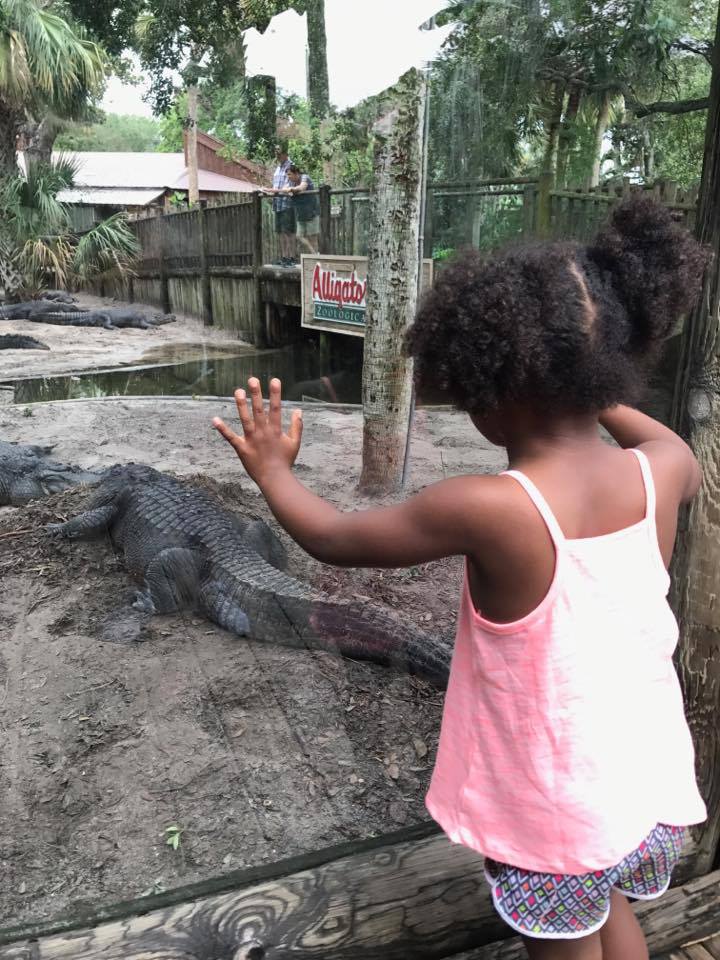 St Augustine alligator farm