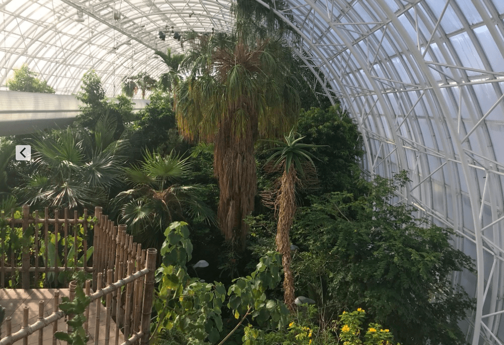 Myriad Botanical Gardens