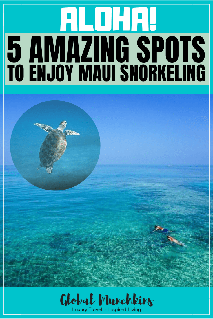 Here is a list of five of the best places to do some Maui snorkeling and my personal reviews on each spot. #maui #snorkeling #review #travel #hawaii #traveltips #destinations #hawaiivacation #familytravel