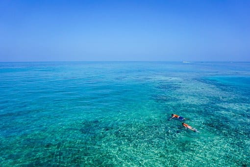 maui snorkeling