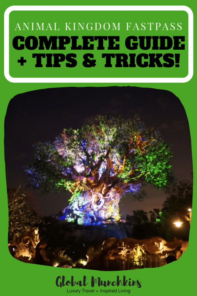 Animal Kingdom FastPass - Complete Guide + Tips & Tricks!