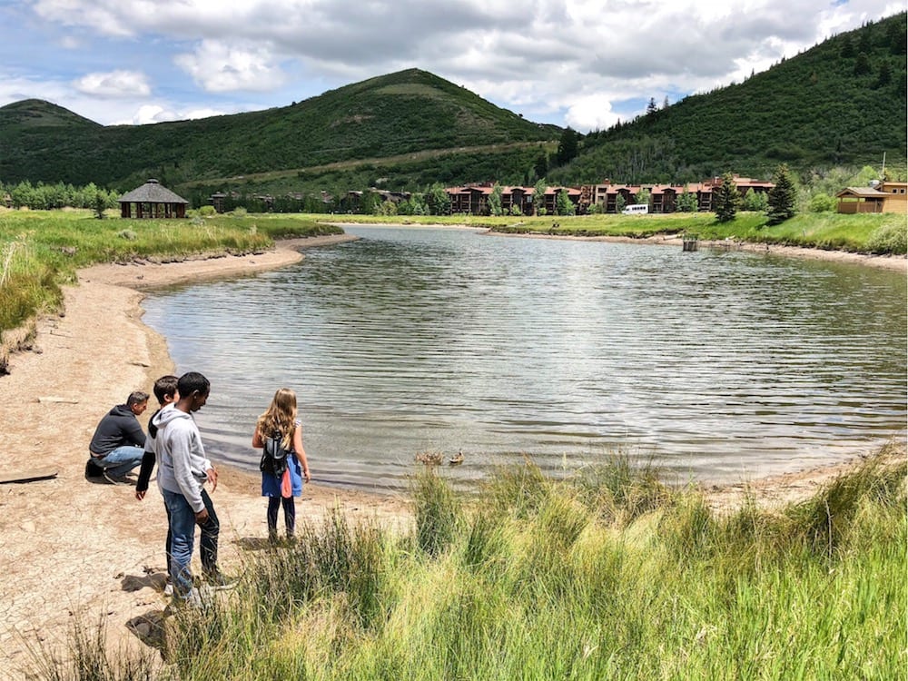 Feeding the Ducks in Deer Valley is fun thing to do on a Deer Valley Summer Day