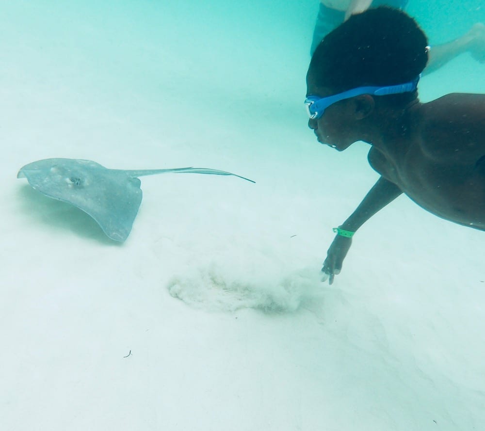 Stingray City Tours Grand Cayman - An Extraordinary Experience