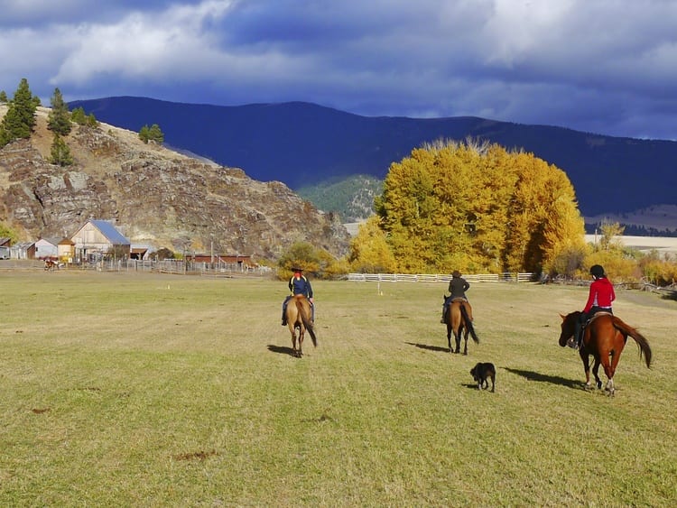 Rocking Z Guest Ranch