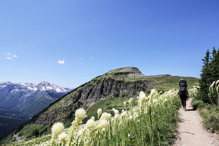 Best Hikes in Glacier National Park