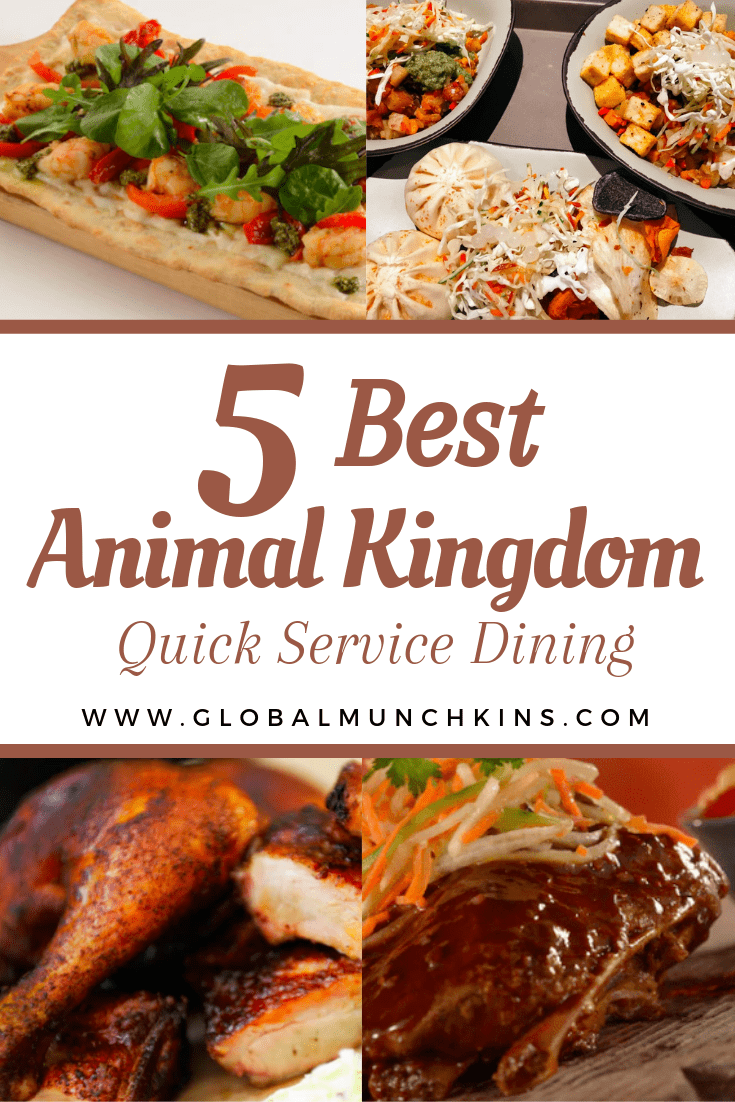 Top 6 Best Animal Kingdom Quick Service | Global Munchkins