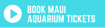 Book Maui Aquarium Tickets