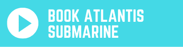 Book Atlantis Submarine