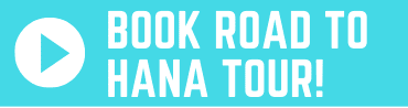 Book Road to Hana Tour