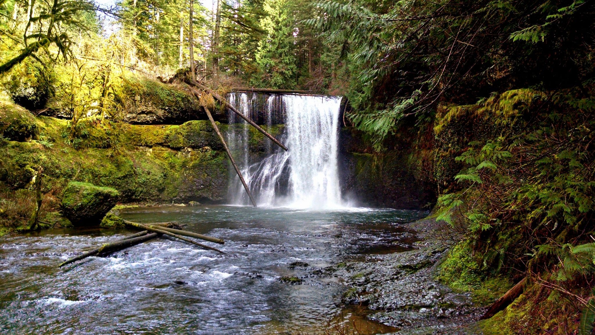 The Incredible Portland Waterfalls [15 to Check Out] - Global Munchkins