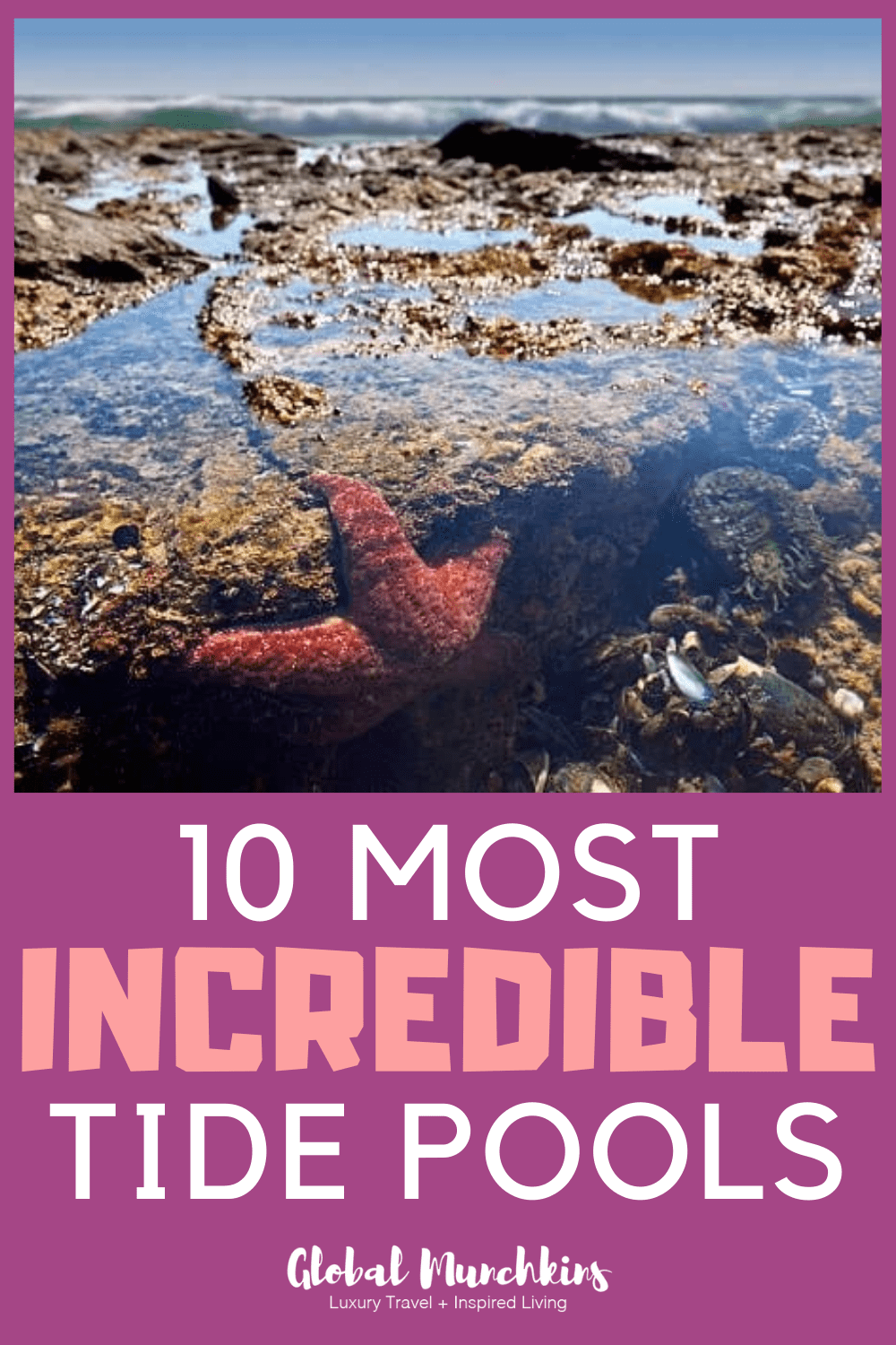 San Diego Tide Pools; Guide to the 10 Most Incredible Tide Pools