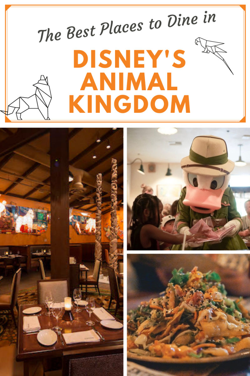 The Best Animal Kingdom Restaurants - Is it The Best Food at Disney World