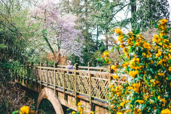 best portland hikes