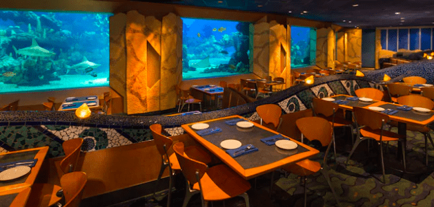 Best Epcot Restaurants - Coral Reef