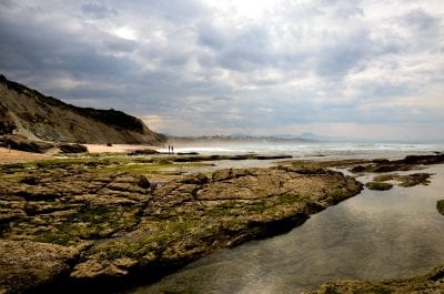 Tide Pools San Diego