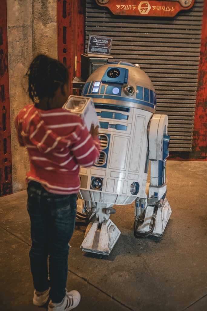 R2 D2 - Star Wars Land