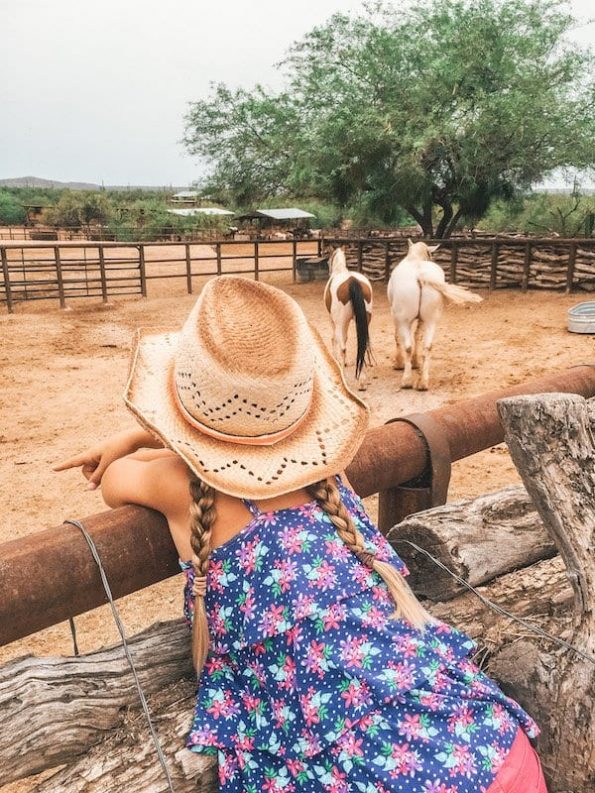 Spring Break Arizona Ultimate Guide Best Things to Do!