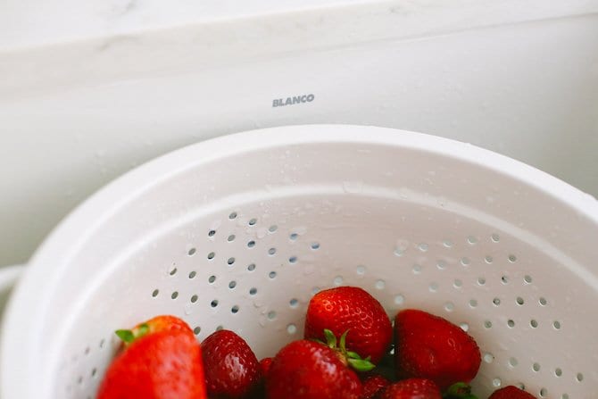 BLANCO Farmhouse Sink