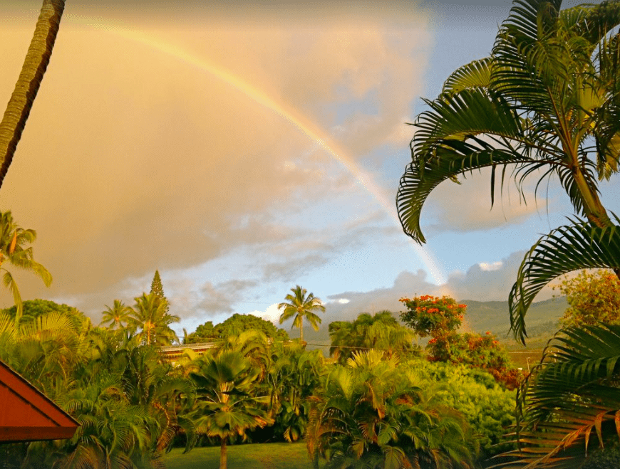 vrbo maui