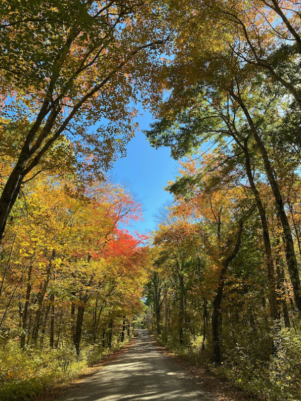 18 Amazing Things to do in Rhode Island with Kids Global Munchkins