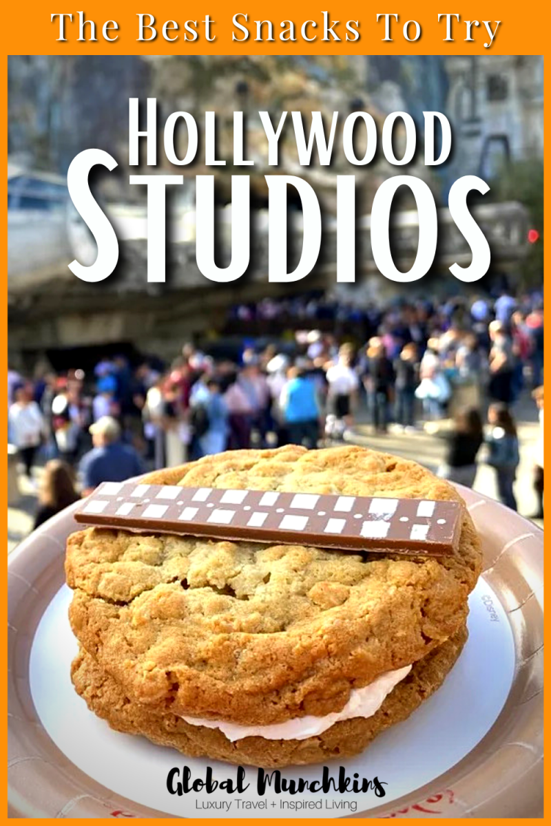 The 15 Best Snacks at Hollywood Studios [#5 You have to See]