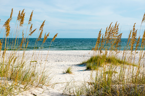 things to do in Hilton Head