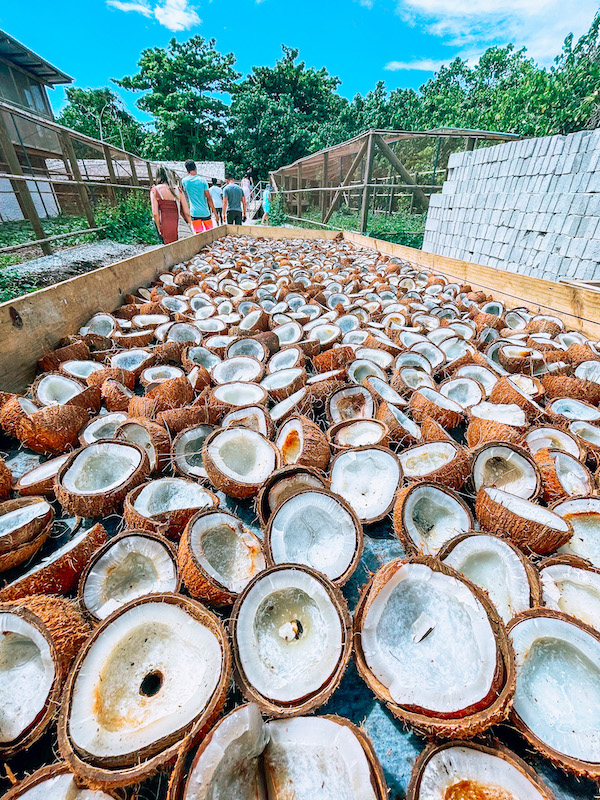 Eco Tour at Soneva Fushi