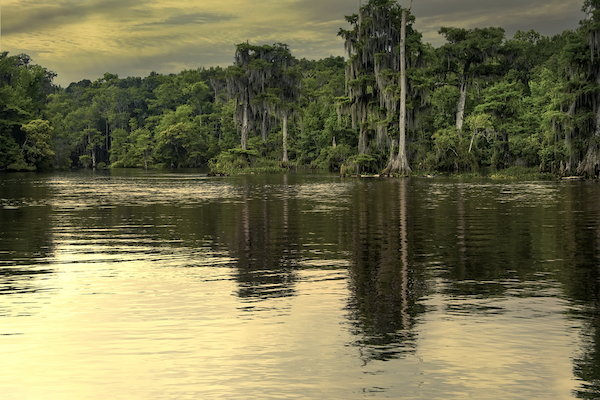 wakulla springs