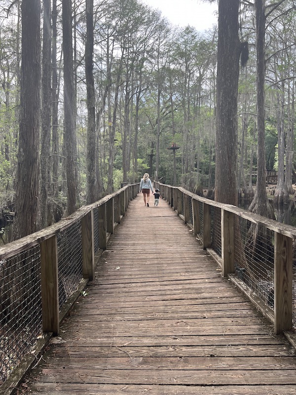 Tallahassee Museum