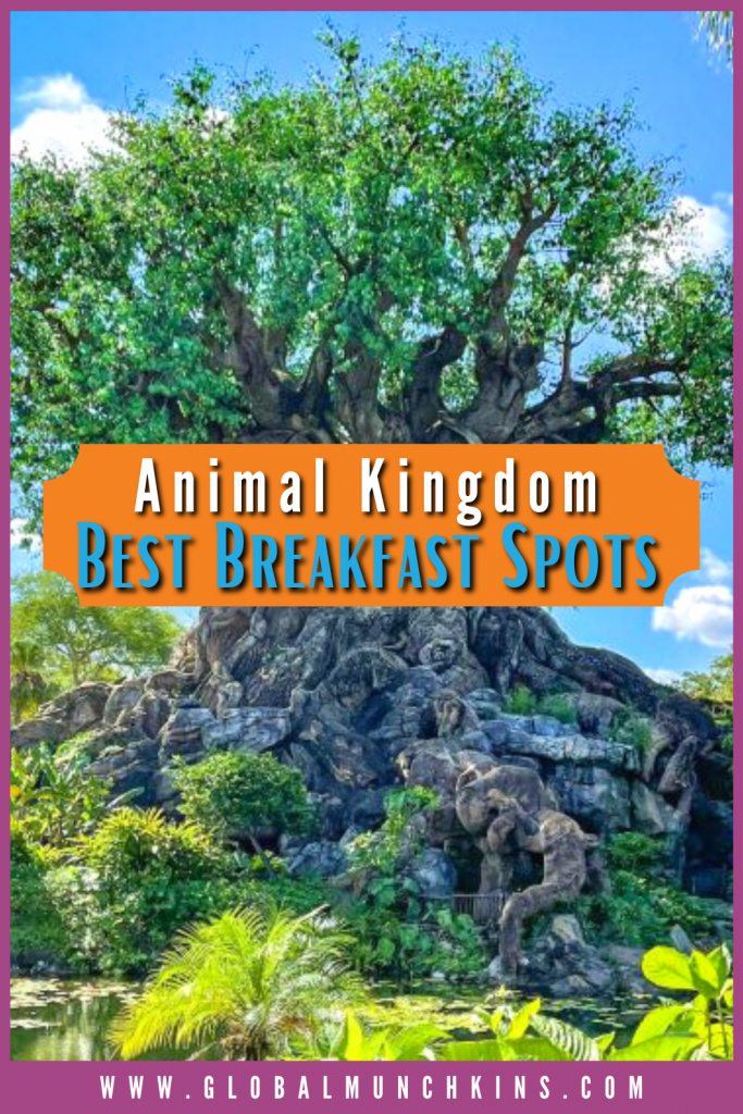 Pin Animal Kingdom Best Breakfast Spots Global Munchkins