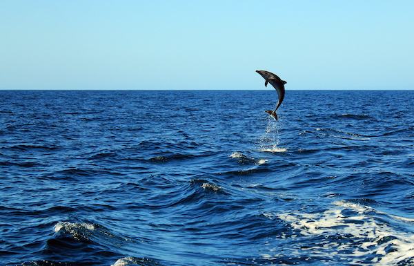 things to do in Corpus Christi with kids 